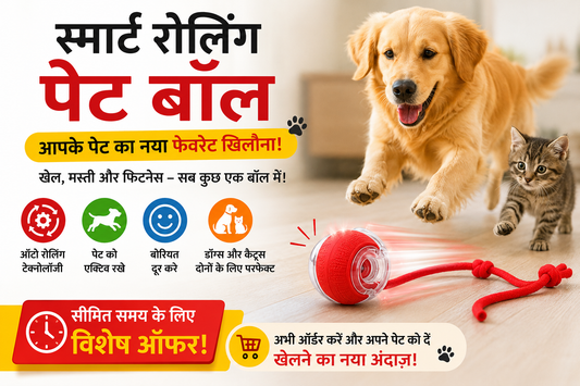 Pet rolling ball
